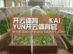 环境展示五