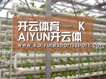 环境展示六