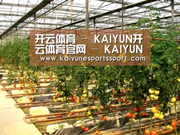 种植基地二(图1)