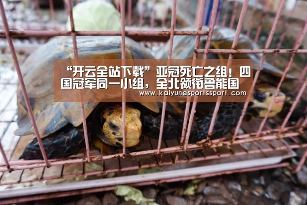 “开云全站下载”亚冠死亡之组!四国冠军同一小组,全北领衔鲁能国安要争足协杯亚军(图3) 开云电竞官网
