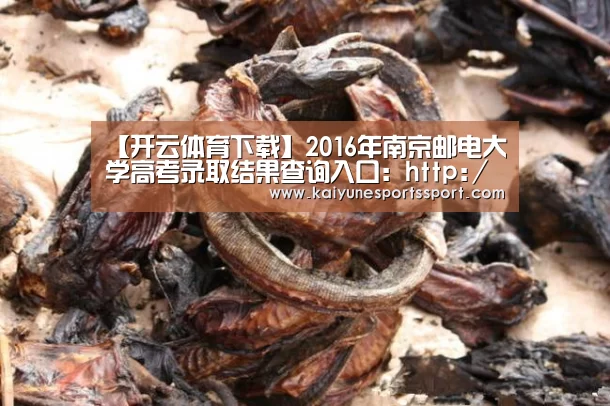 开云移动端