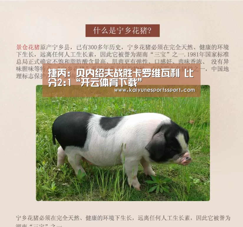 开云体育下载