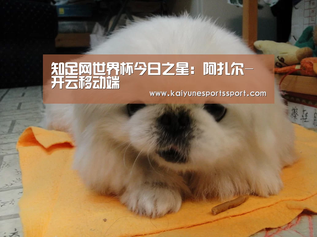 开云体育下载