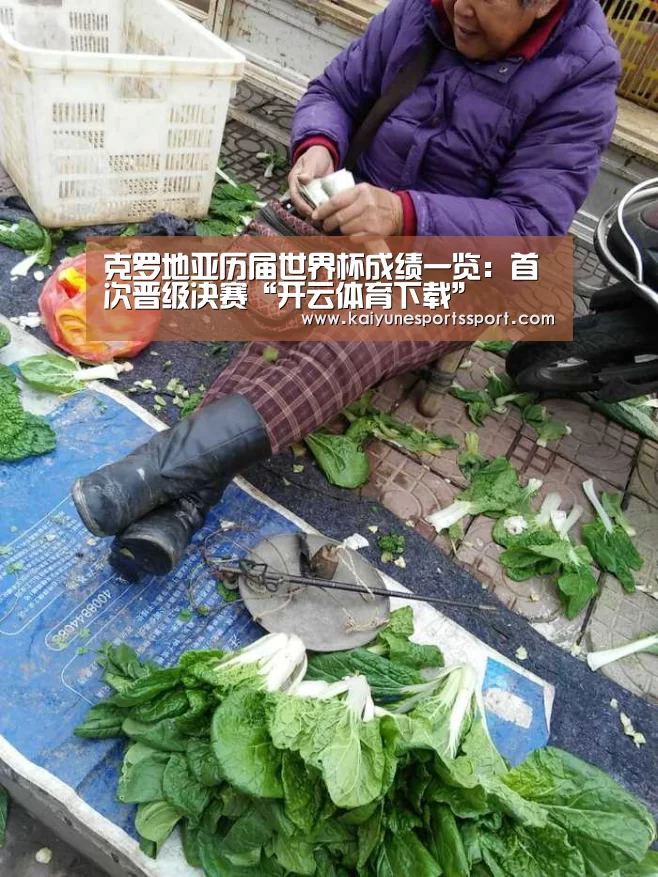 克罗地亚历届世界杯成绩一览:首次晋级决赛“开云体育下载”(图1) 开云体育下载