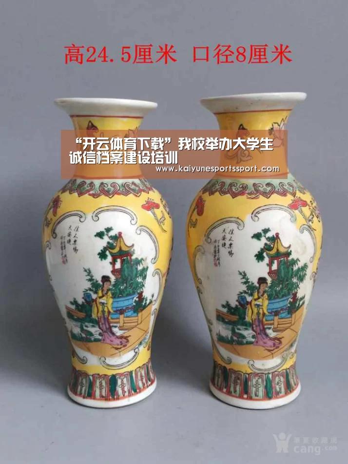 “开云体育下载”我校举办大学生诚信档案建设培训(图4) 开云全站下载