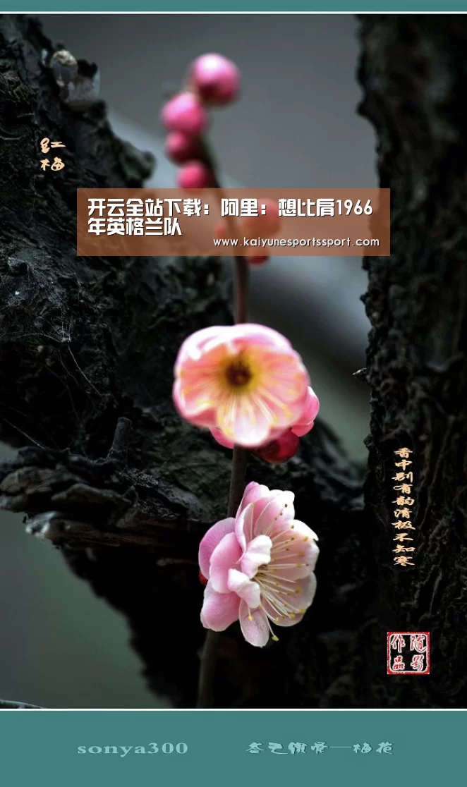 开云全站下载:阿里:想比肩1966年英格兰队(图1) 开云电竞官网