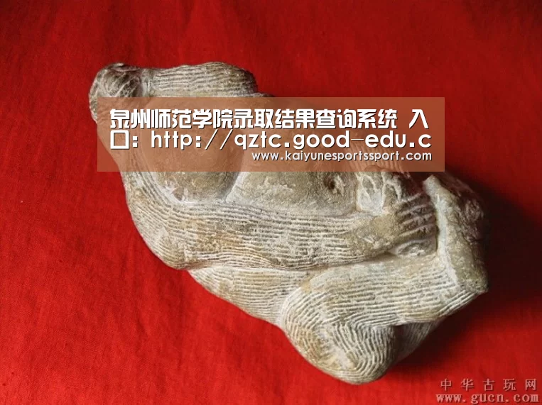 泉州师范学院录取结果查询系统 入口:http://qztc.good-edu.cn/search_zs.php“开云体育下载”(图2) 开云体育下载