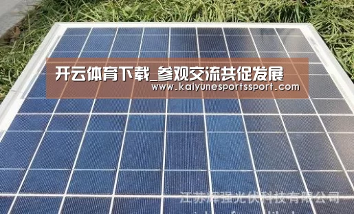 开云体育下载_参观交流共促发展(图2) 开云电竞官网
