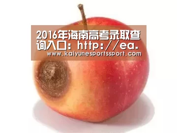 开云体育下载